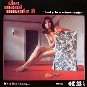 Image for 'Mood Mosaic Vol. 08 Funky In A Minor Mode'