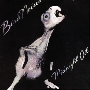 Image for 'Bird Noises'