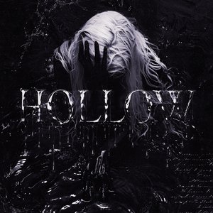 Image for 'hollow (Ultra Slowed)'