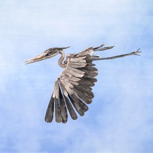 Image for 'Le Héron'