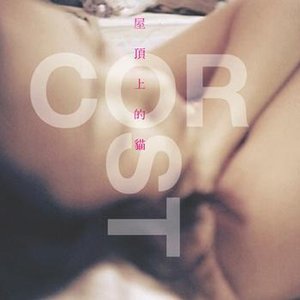 Image for '屋顶上的猫'