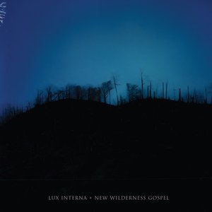 Bild für 'New Wilderness Gospel'