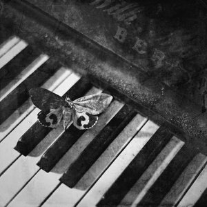 Immagine per 'Silent Hill Piano Versions'