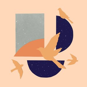 Bild für 'Birds'