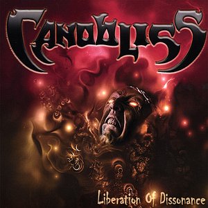 Image for 'Liberation Of Dissonance'