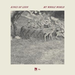Image for 'My Whole World'
