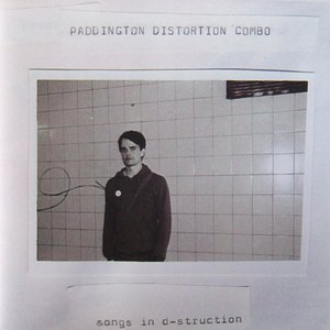 Image for 'Songs in d-struction'