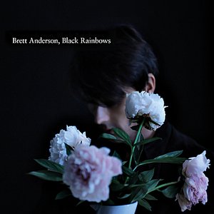Image for 'Black Rainbows'