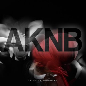 Изображение для 'AKNB'