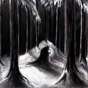 Image for 'Havulinnaan'