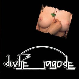 Image for 'Divlje Jagode'
