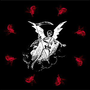 Image for 'Dvar'