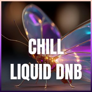 Image for 'Chill Liquid Drum and Bass (Study Beats vol.16)'