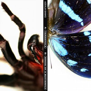 Bild für 'Tarantula'