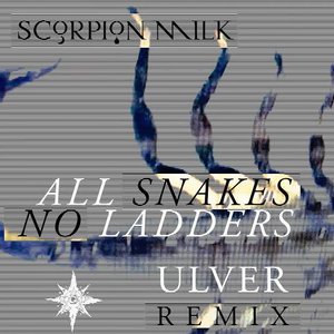 Image for 'All Snakes No Ladders (Ulver Remix)'