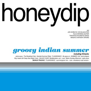 Image for 'groovy indian summer -Remastered-'