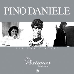 Image for 'The Platinum Collection: The Early Years'