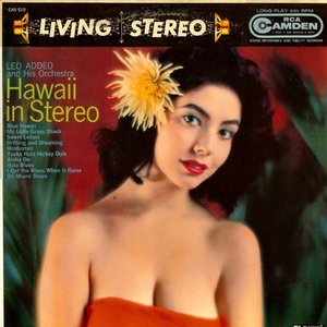 Image for 'Hawaii In Stereo'