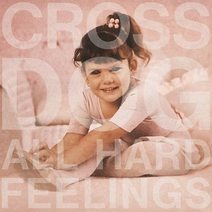 Image for 'All Hard Feelings'