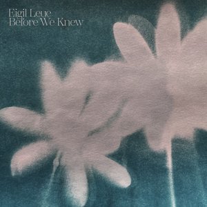 Image for 'Before We Knew'