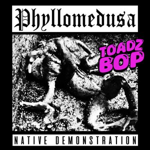 Immagine per 'Native Demonstration'