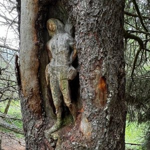 Image for 'fragile'