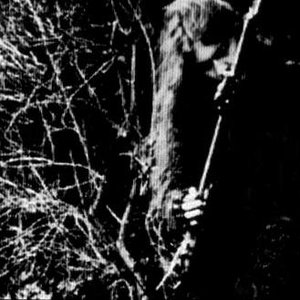 Image for 'Mystic Forest'
