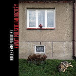 Image for 'Kwiat polskiej mlodzieży'