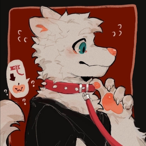 UrFemboyFoxBF