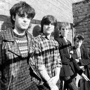 Image for 'The Chameleons'