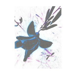 Image for 'stinkbug (Over and Over)'