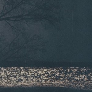 Zdjęcia dla 'virgo indigo'