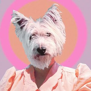 Image for 'Funny Girl'
