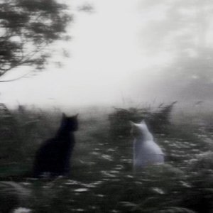 Image for 'Yearn For You'