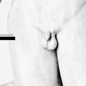 Image for 'Krankšvester III'