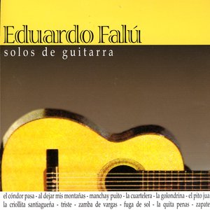 Image for 'Solos De Guitarra'