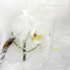 Изображение для 'Pop Ambient 2015'