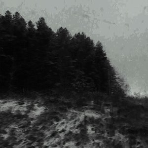 Image for 'я пуст'