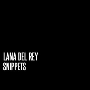Immagine per 'Snippets'