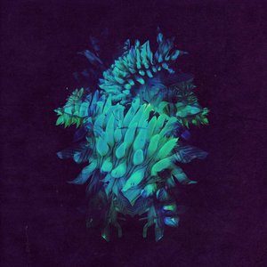 Image for 'All Glows'
