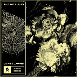 Image for 'The Meaning'