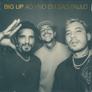 Image for 'Ao Vivo Em São Paulo'