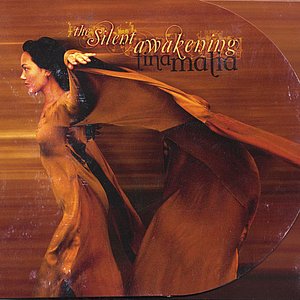 Image for 'The Silent Awakening'