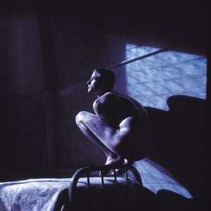Image for 'Birdy'