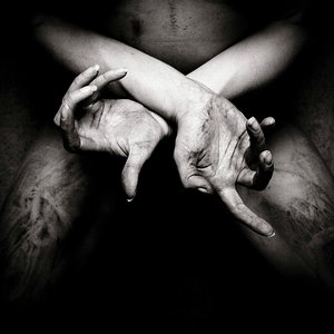 Image for 'X - varg utan flock (Deluxe Edition)'