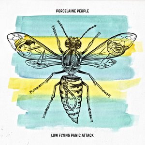 Bild für 'Low Flying Panic Attack'