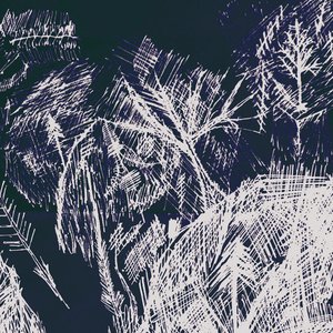 Image for 'fish (Remixes)'