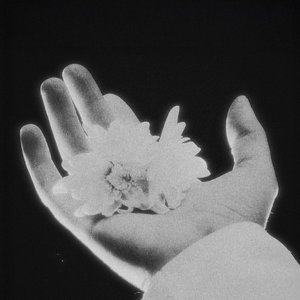 Image for 'שחור זוהר'