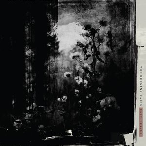 Image for 'Last Leaves'