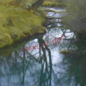 Image for 'can we just forget?'